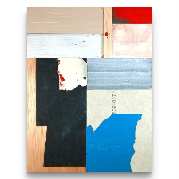 Assemblage (Substrates) 06
